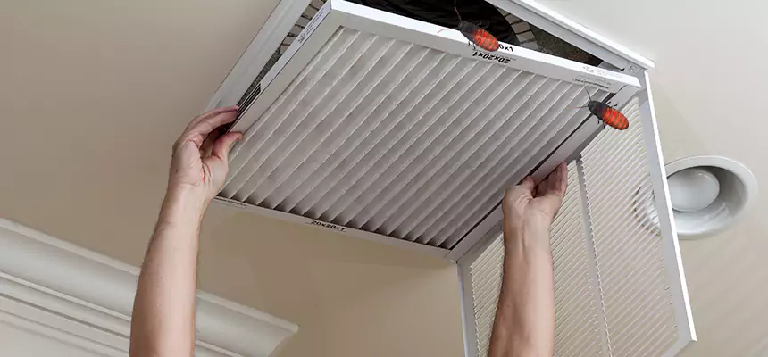Preventive Cockroach-Proofing for Ducts in Coral Gables