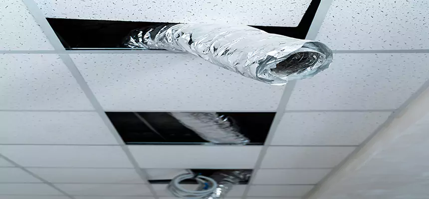 Our Air Duct Pet Hair Removal Services in Coral Gables, FL