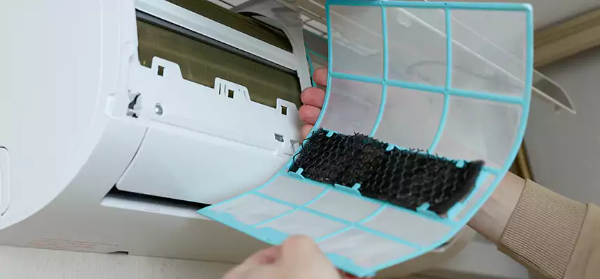 Gentle Ductwork Odor-Control Pet Dander Duct Cleaning in Coral Gables, FL