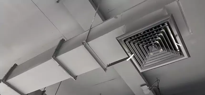 Our Rodent Droppings In Vents Services in Coral Gables, FL