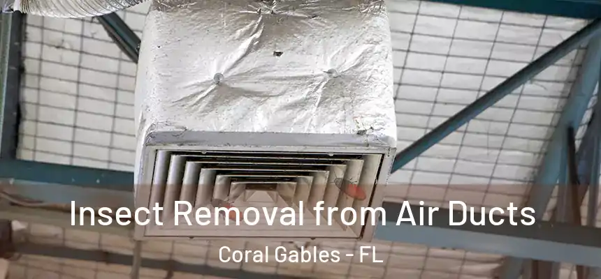 Insect Removal from Air Ducts Coral Gables - FL
