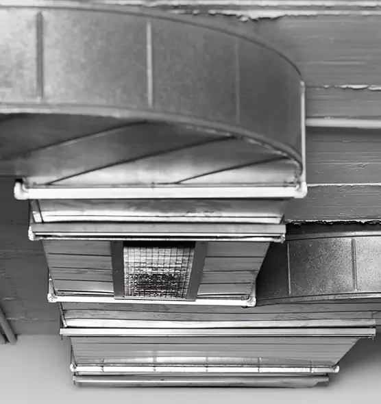 Professional Air Duct Pest Removal in Coral Gables, FL