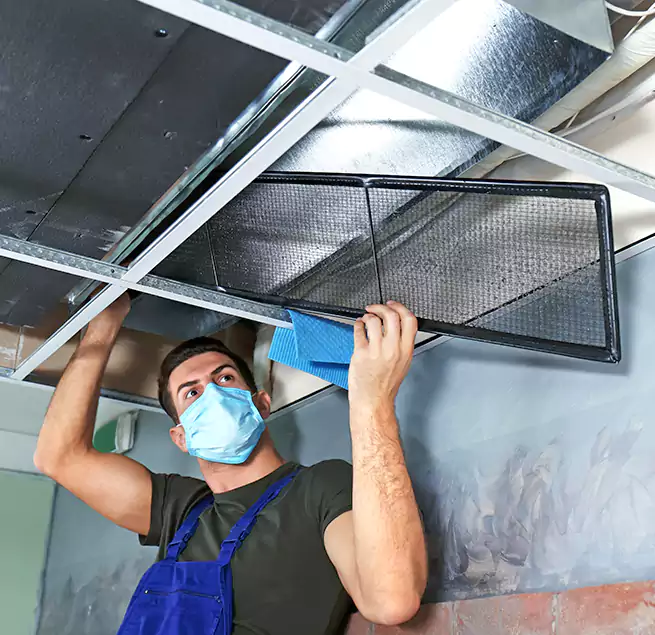 Why Homeowners Businesses Trust Us in Coral Gables, FL