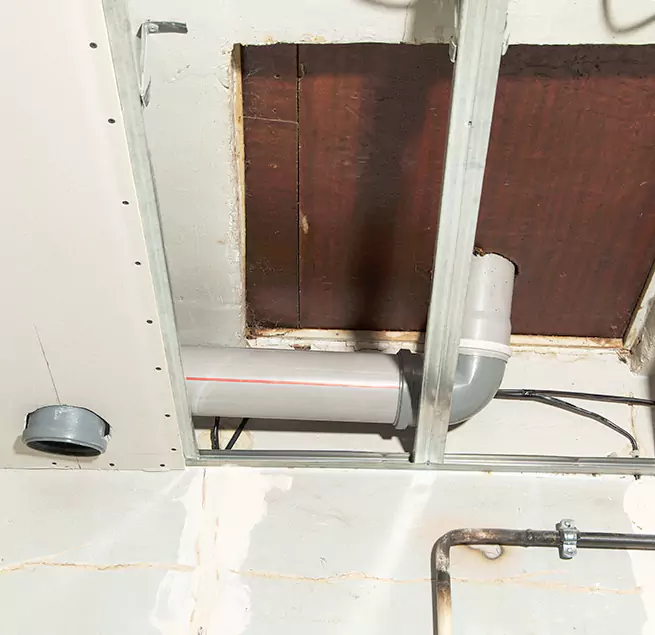 Why Homeowners & Businesses Trust Us in Coral Gables, FL?