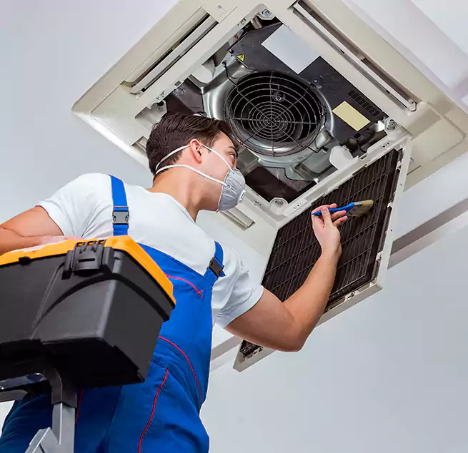 Why Homeowners & Businesses Trust Us in Coral Gables, FL