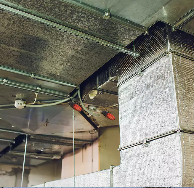 Why Homeowners & Businesses Trust Us Coral Gables, FL?