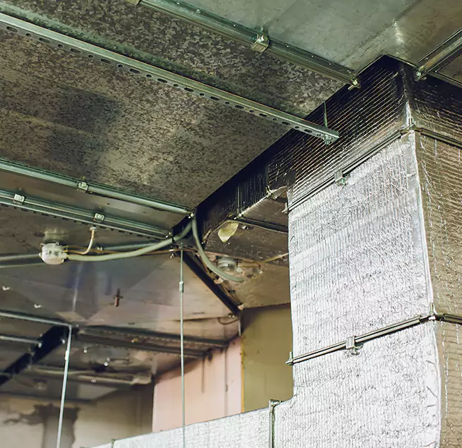 Why Homeowners & Businesses Trust Us in Coral Gables, FL?